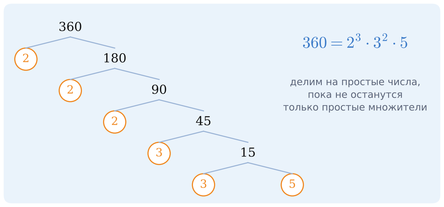Дерево разложения числа 360 на простые множители: 360 = 2³·3²·5